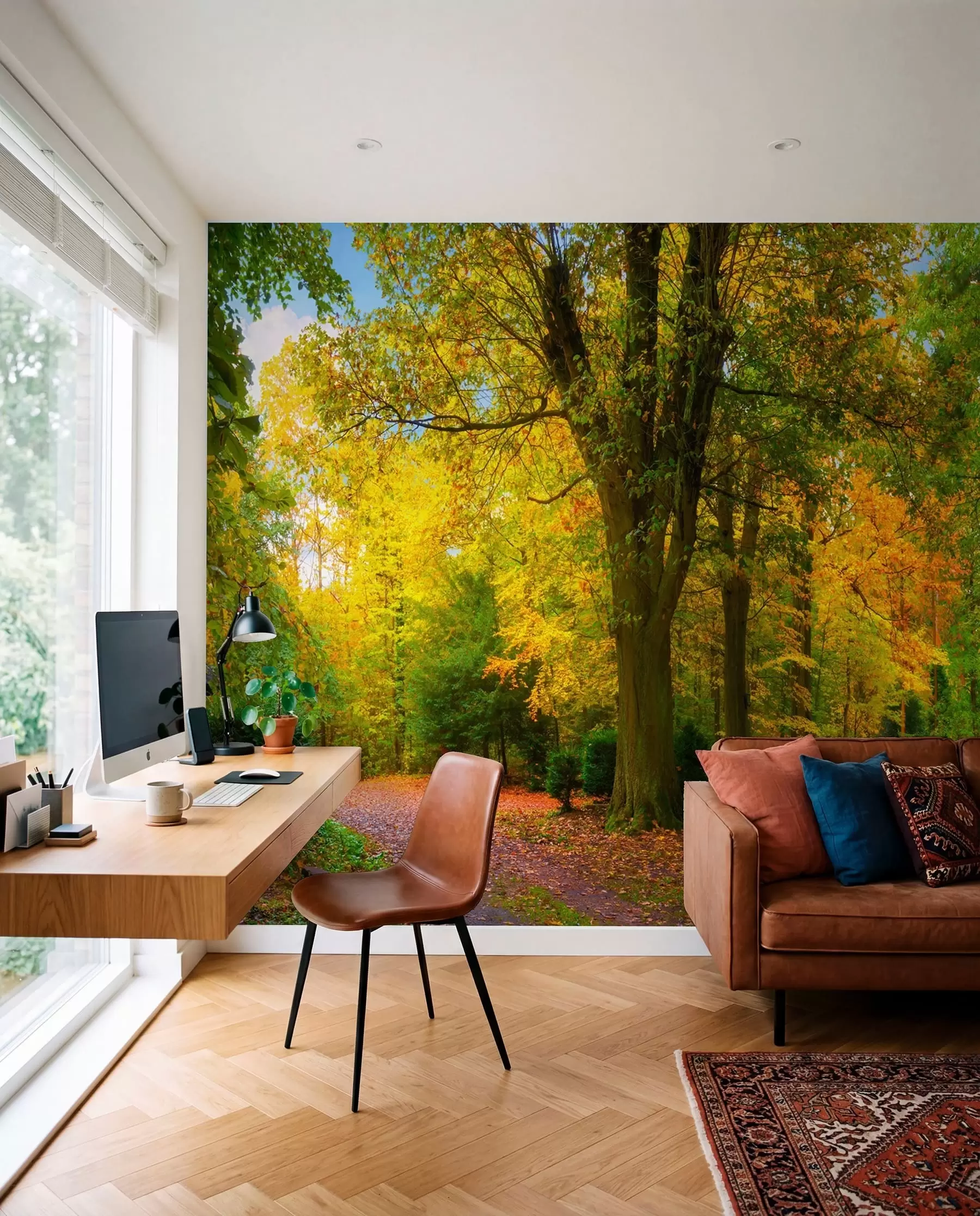Fototapeedid Sügise esimene kuld u08547