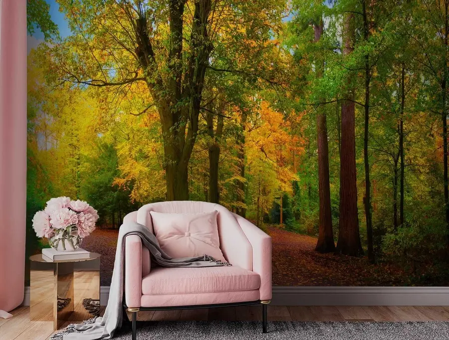 Fototapeedid Sügise algus u08547