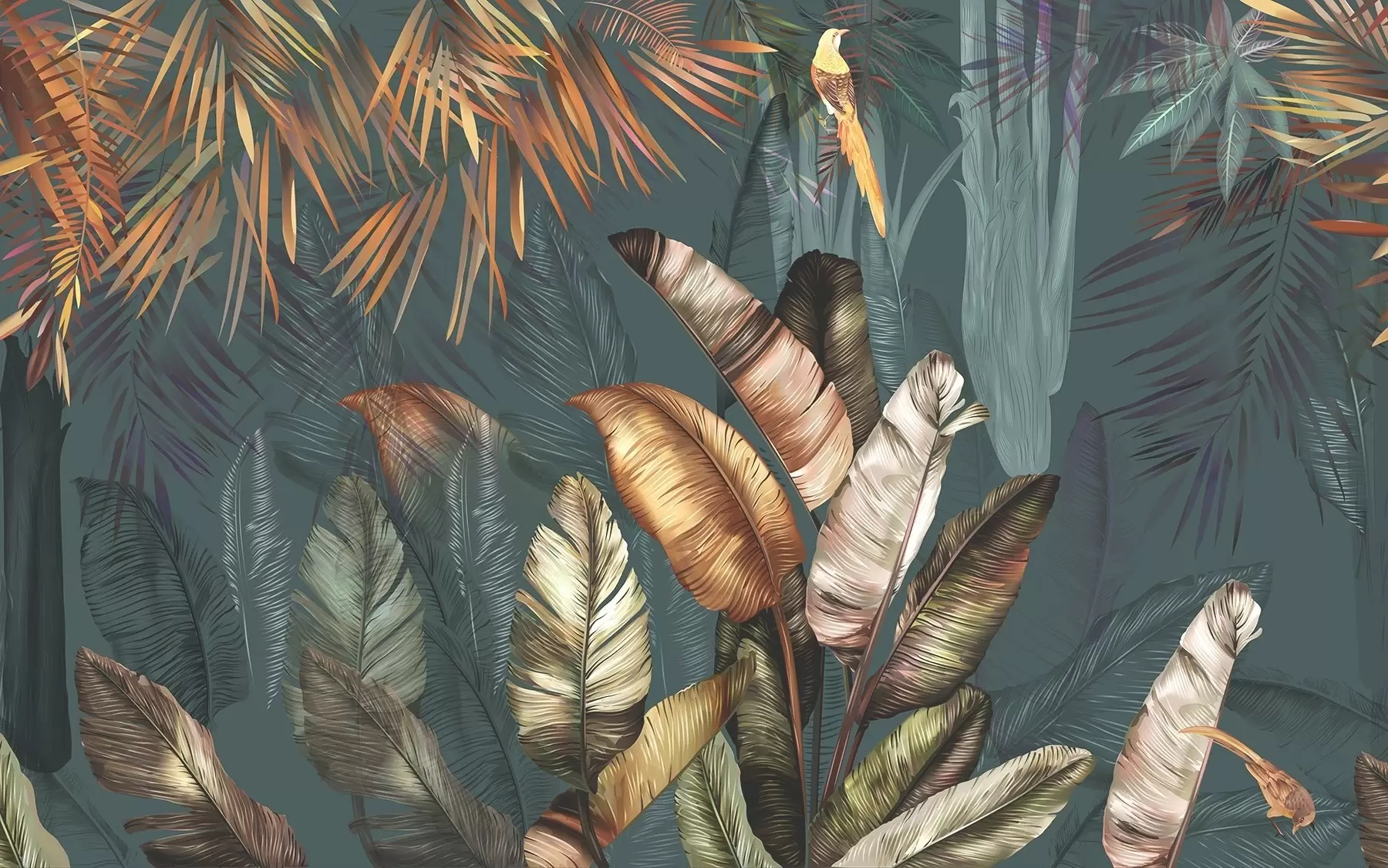 Fototapeedid Hele troopiline džungel u50468