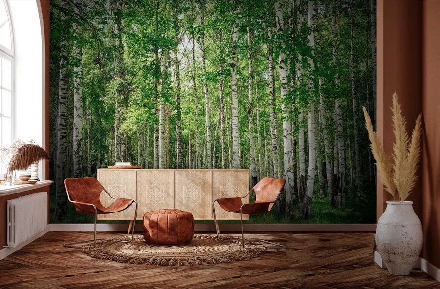 Fototapeedid Kase mets u52530