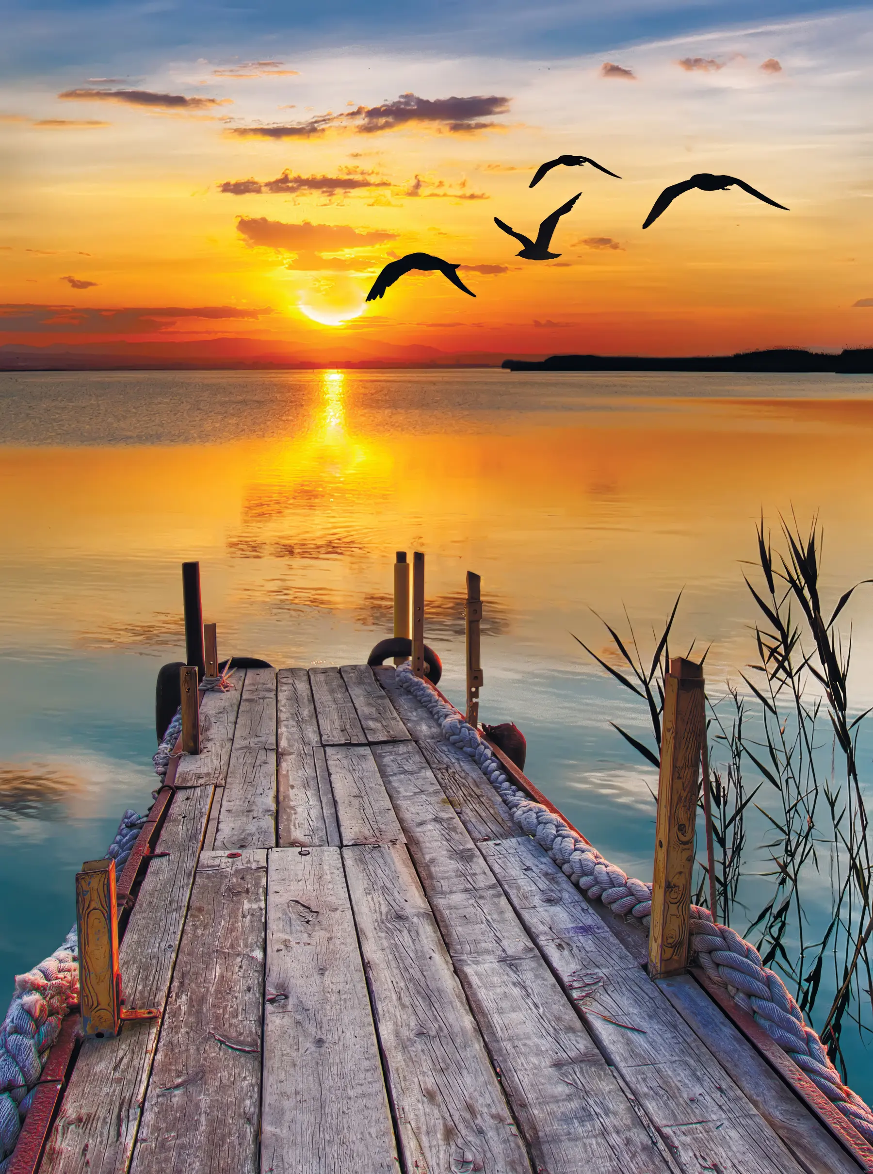 Fototapeedid Kajakad ja muuli u57673