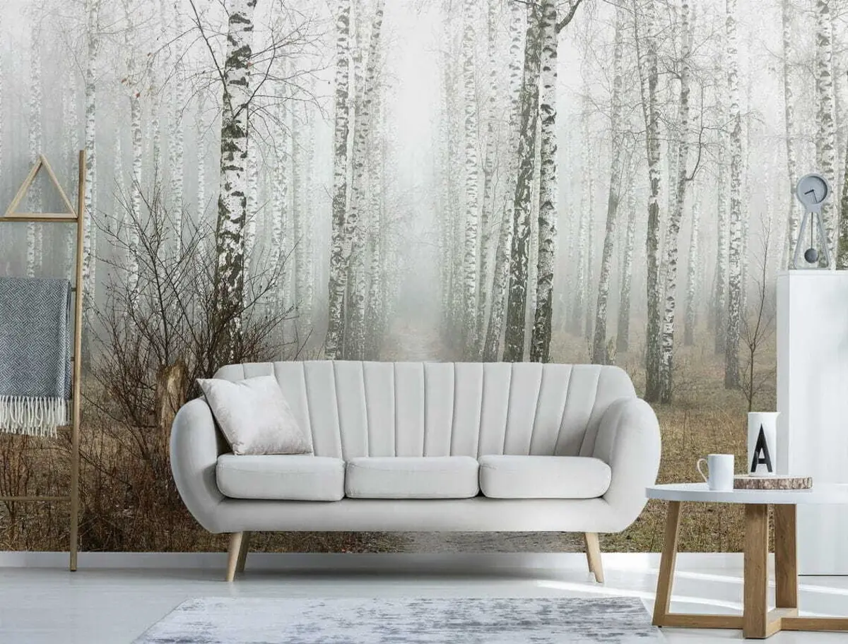 Fototapeedid Kased udus u58950