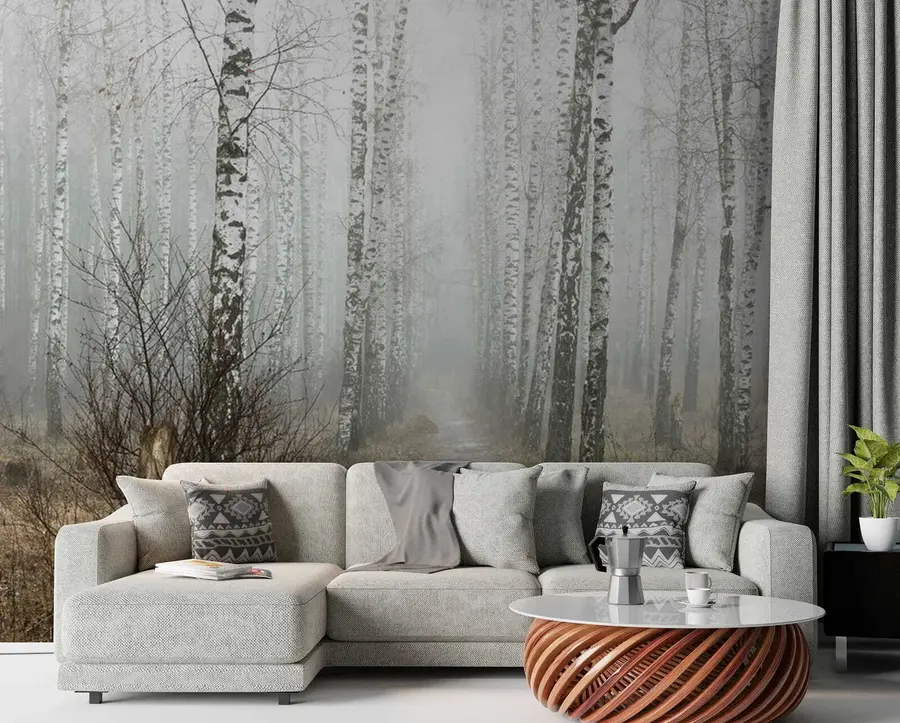 Fototapeedid Kased udus u58950