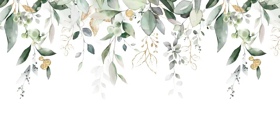 Fototapeedid Rippuvad eukalüpti lehed valgel taustal u95506d2