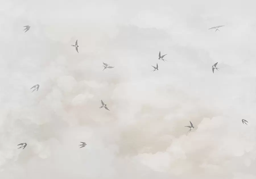 Fototapeedid Taevas pääsukestega w00526v2