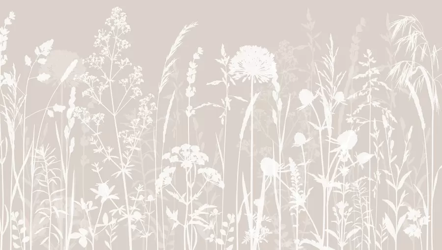 Fototapeedid Õrn põllutaimede ja lillede minimalism w01270