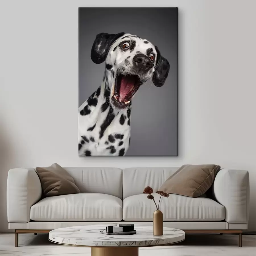 Pilt Innukas kutsikas valmis lõbutsema! s37752