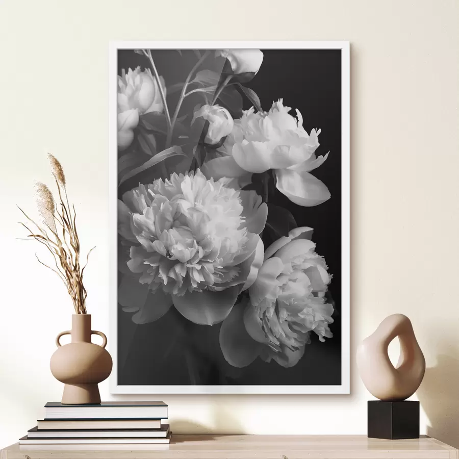 Pilt Must-valged pojengid f39547