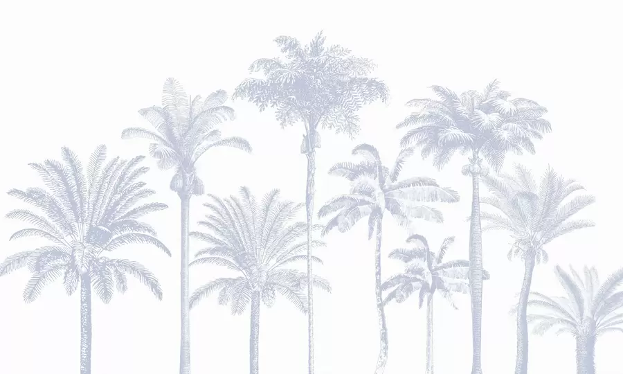 Fototapeedid Troopiliste palmipuude oaas minimaalne sinine värv w08111v4