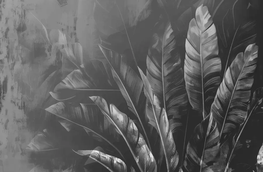 Fototapeedid Mustad lehed w00971