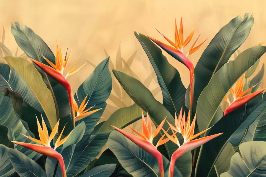 Fototapeedid Soe troopiline õitsemine w01484