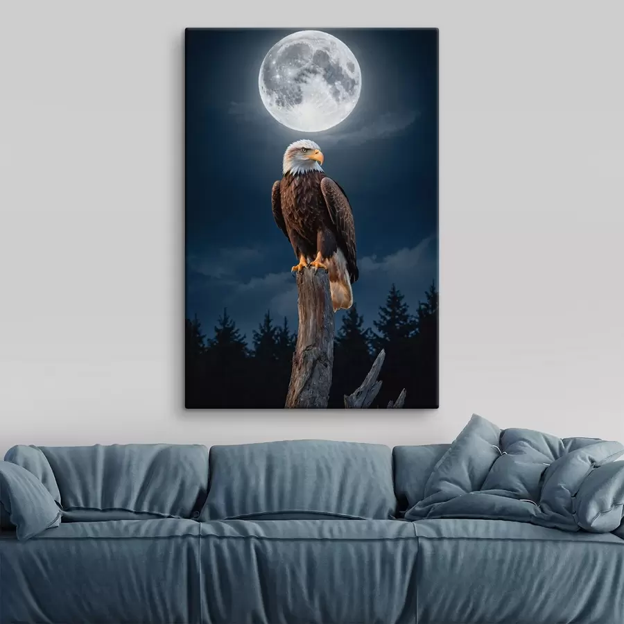 Pilt Kotkas kuu taustal s41043