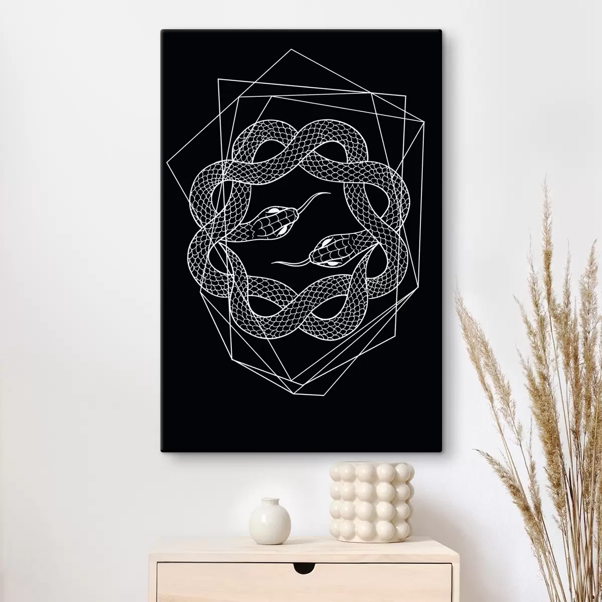 Pilt Valge madu ringis s38565v4