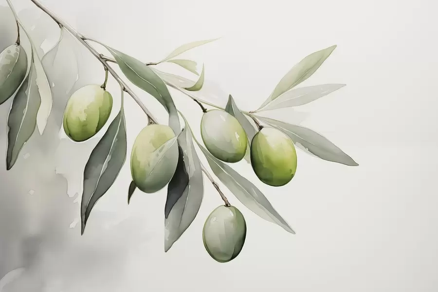 Fototapeedid Filiaal roheliste oliividega märg akvarell w02042