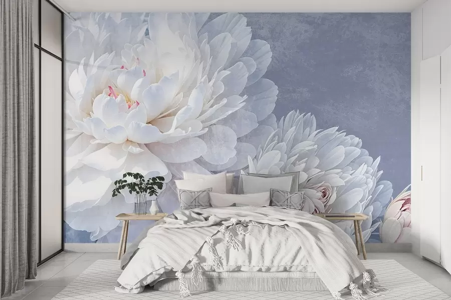 Fototapeedid Valged üksikasjalikud pioonililled pehmete, õrnade kroonlehtedega helesinise tekstuuriga taustal w08379