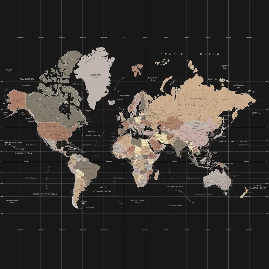 Fototapeedid Maailma kaart, millel on kujutatud erinevad riigid u99477d1