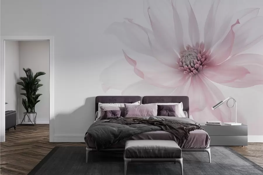 Fototapeedid Õrn roosa lill heledal taustal w02077v2