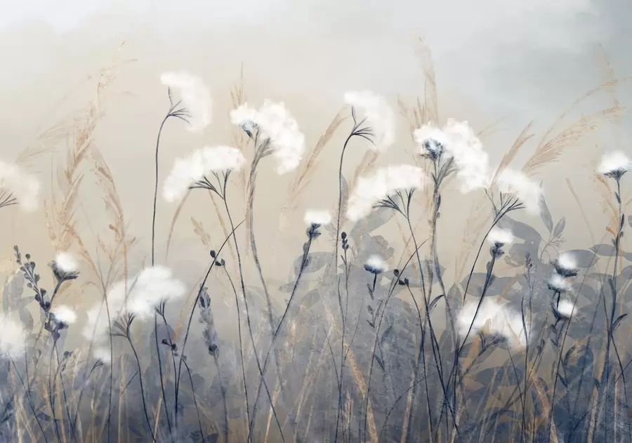 Fototapeedid Pehme, udune ja rahulik atmosfääriga valge puuvillane rohi ähmase tekstuuriga taustal w08416