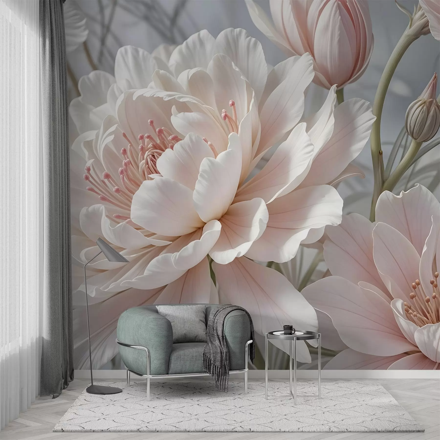 Fototapeedid Suured, õrnad valged ja roosad pioonililled pehmete, kohevate kroonlehtedega hägusel hallil taustal w08427