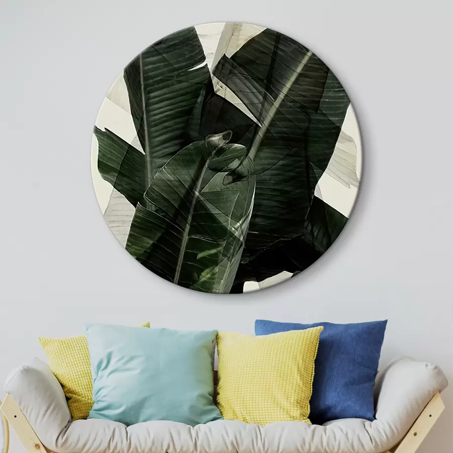 Pilt Taim, maismaataim ja banaanileht r21747