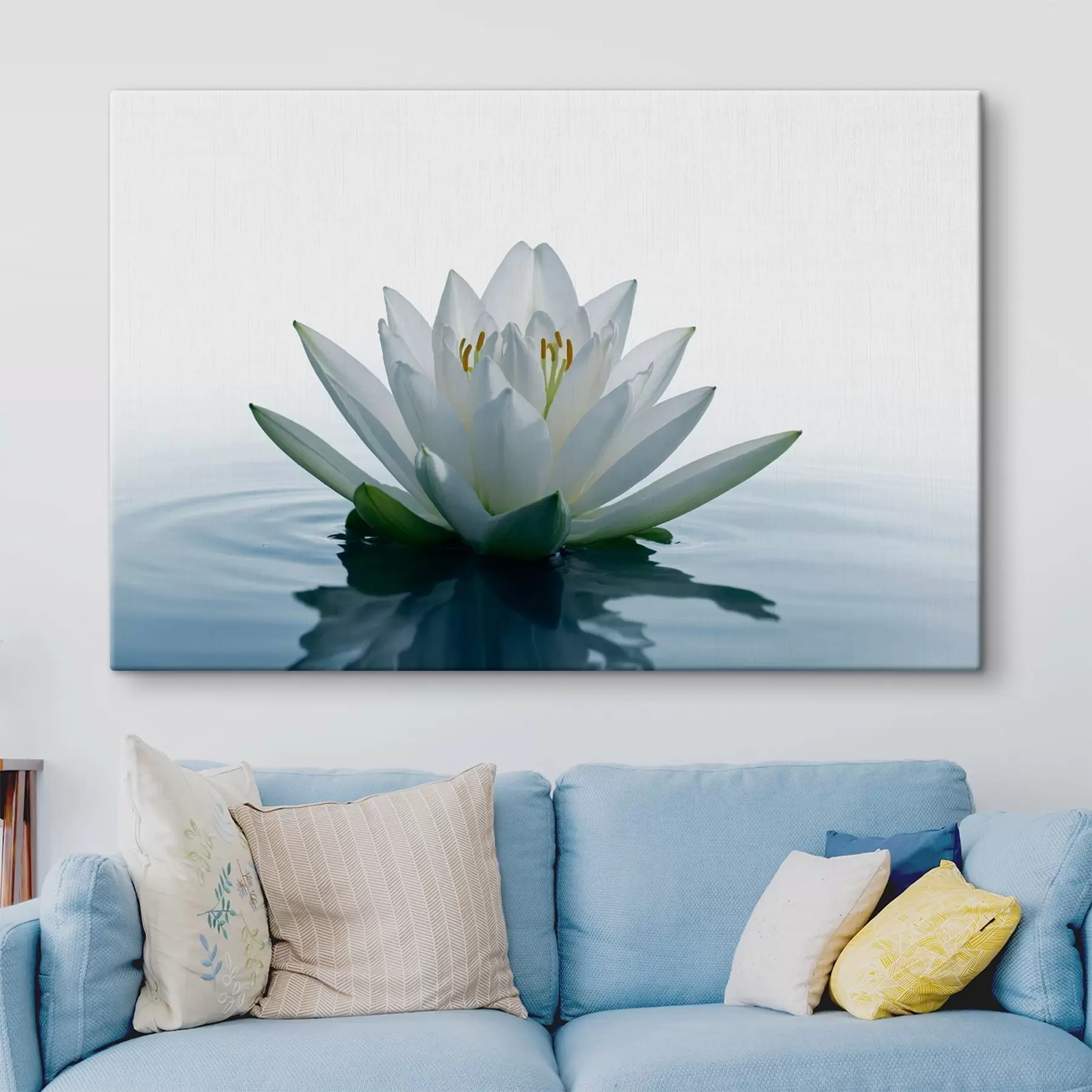 Fototapeedid Lily ujub vee peal s42098