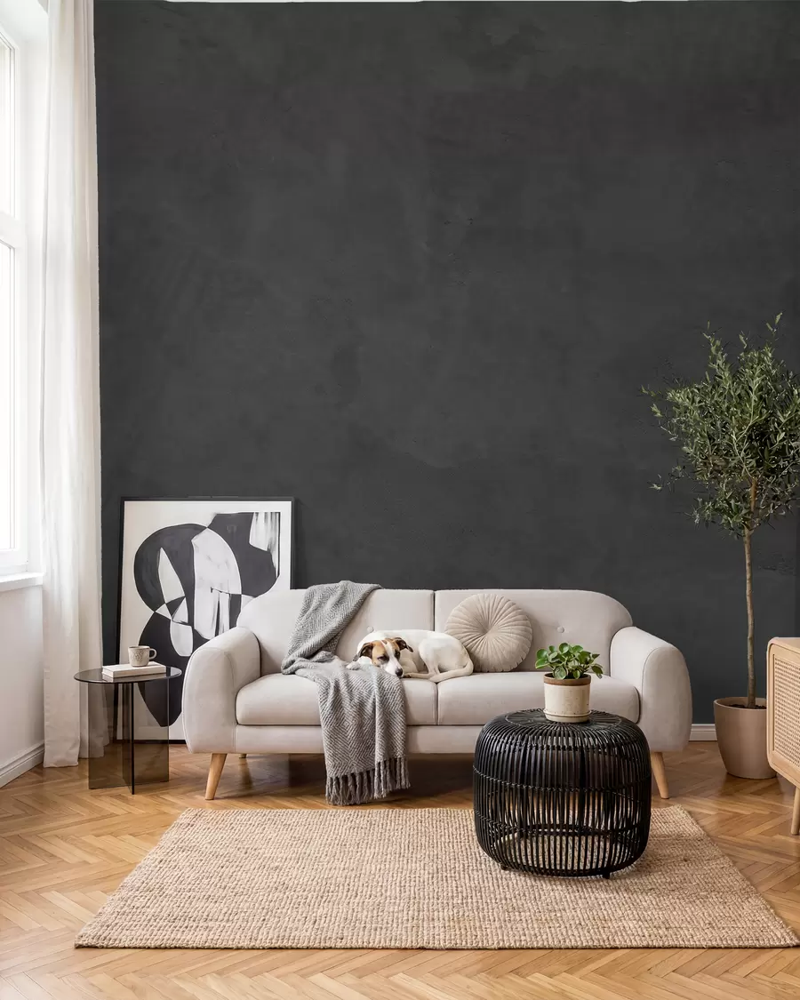 Fototapeedid Antratsiiditoonis betoon w02553