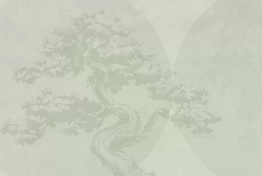 Fototapeedid Bonsai puu minimalism geomeetria grunge taustal w08557v2