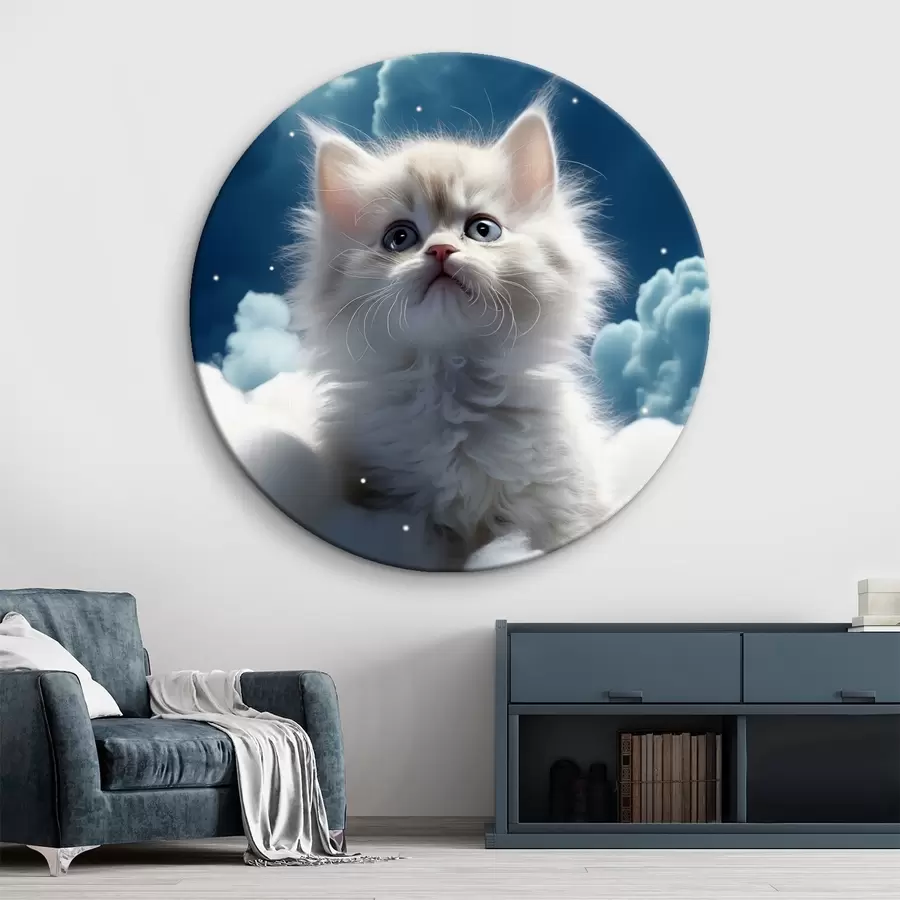 Pilt Valge kohev kassipoeg taevas istub pilve peal r41279