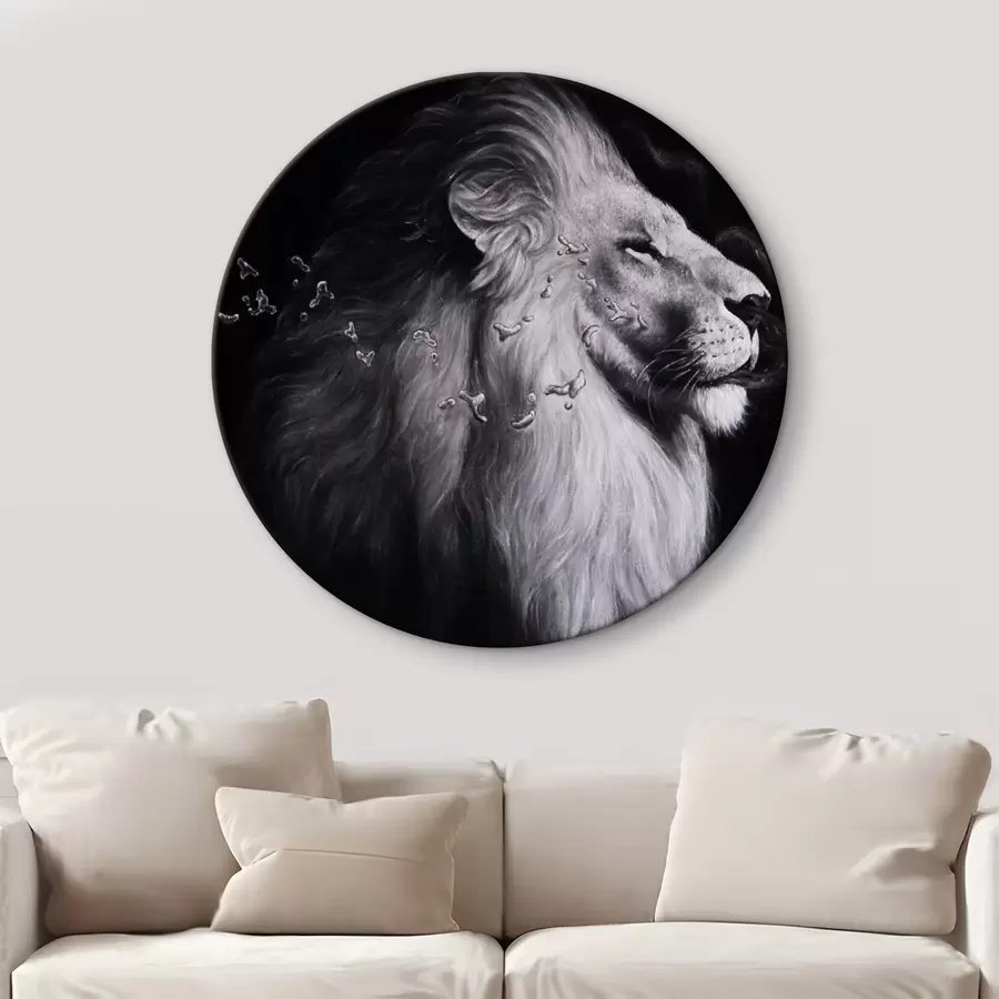 Pilt Silm, paat ja kits r03998