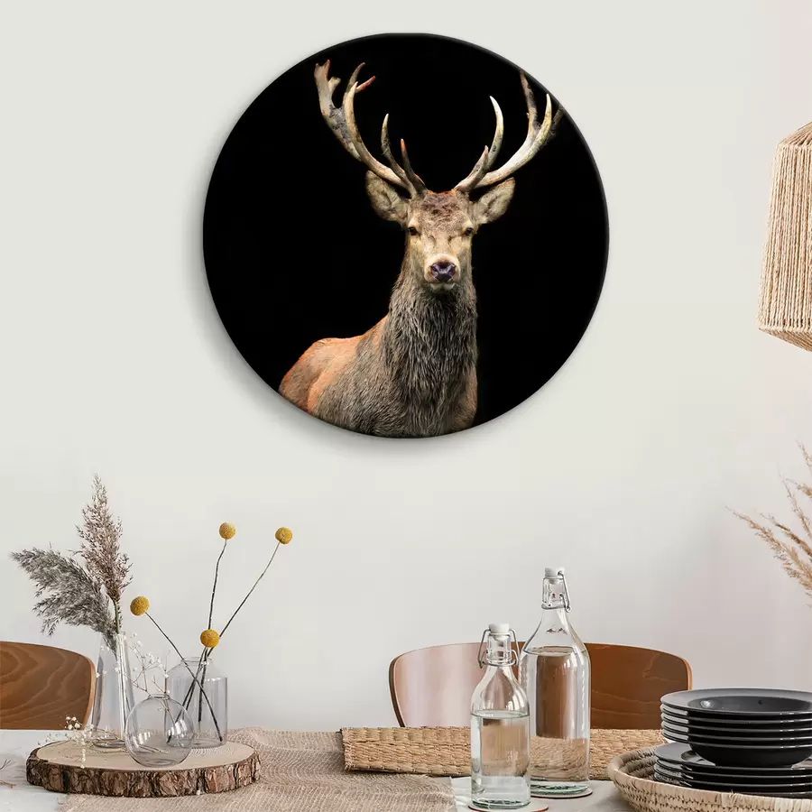 Pilt Hirv, organism e hirv r08154