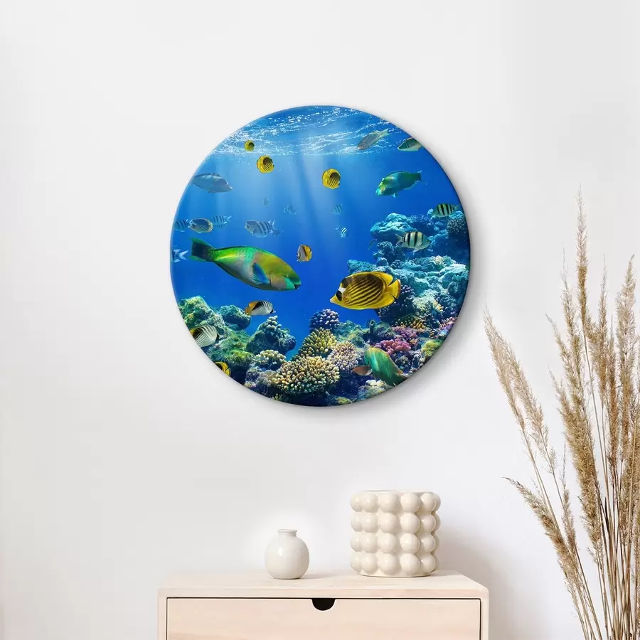 Pilt Vesi, sinine ja looduskeskkond r08470