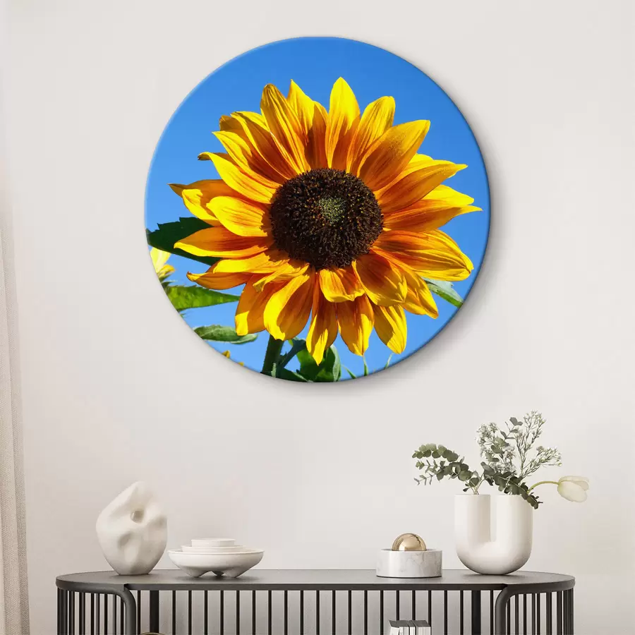 Pilt Lill, taim ja taevas r27692