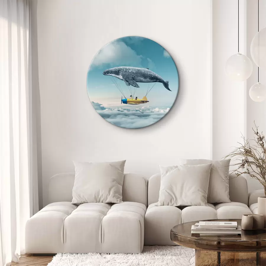 Pilt Vaala ja vaala, mis on kinnitatud väikese lennuki külge r36701