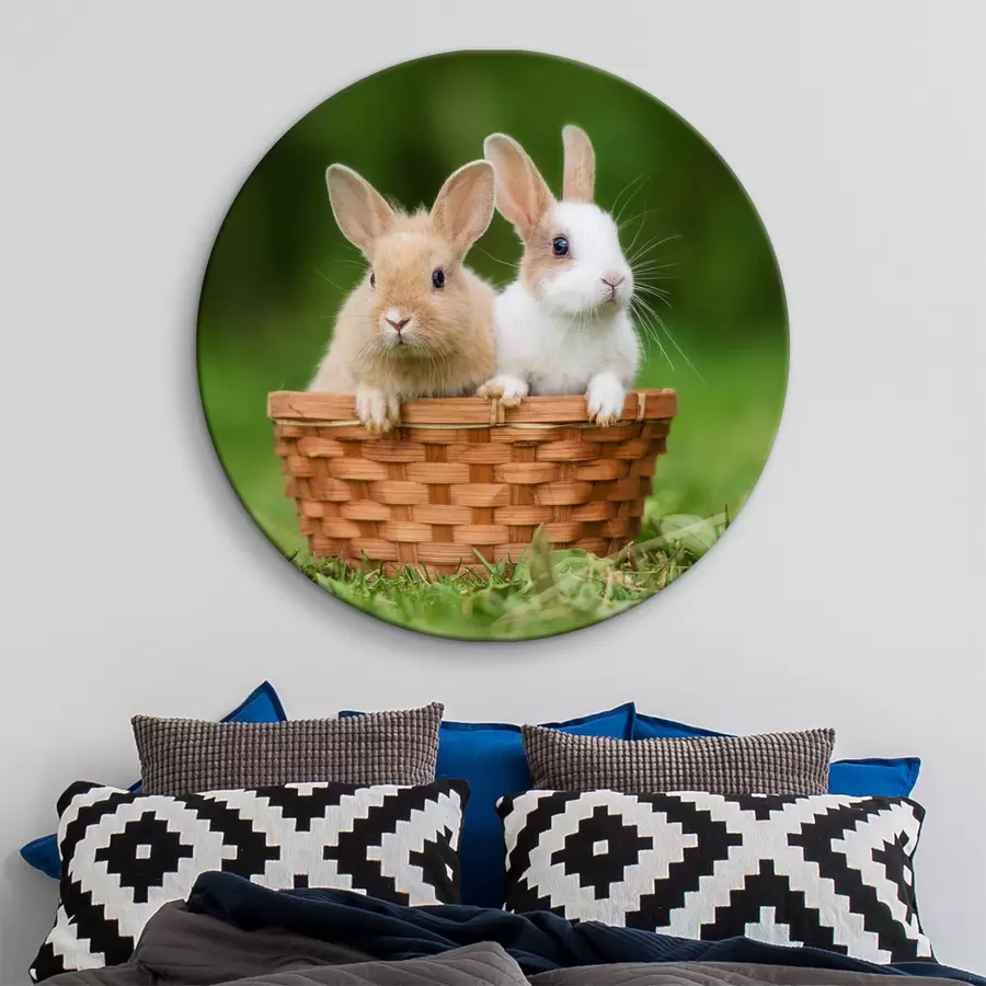 Pilt Armsad küülikud r37760