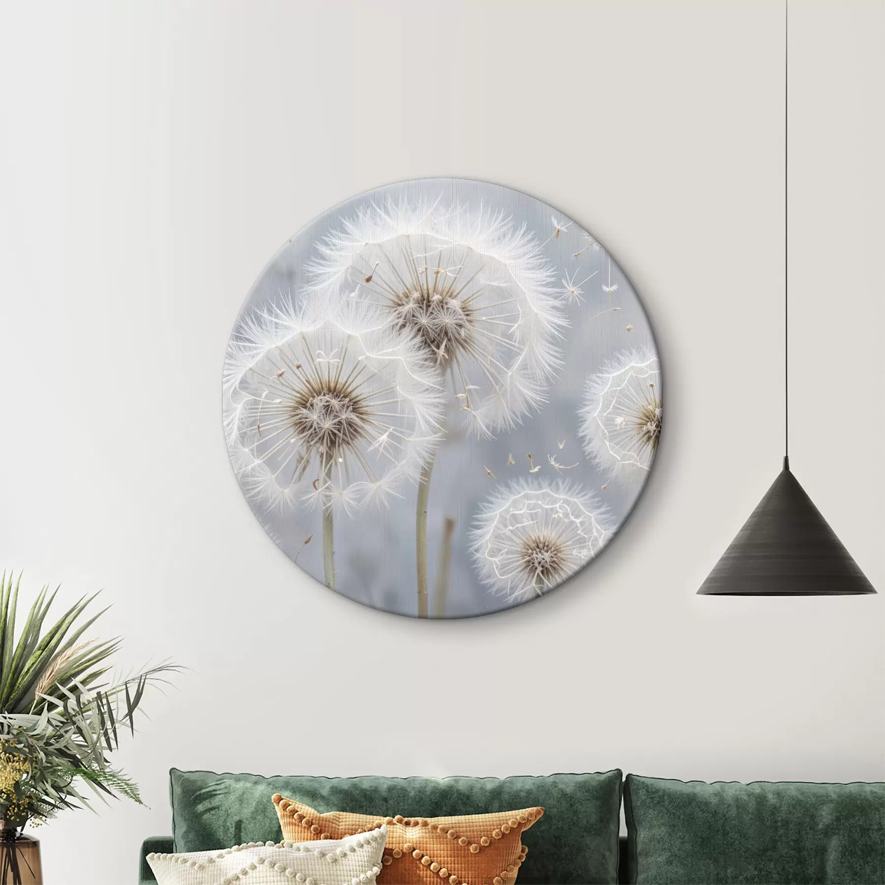 Pilt Valged võililleõied koos kohevate seemnetega hägusel hallil taustal r40556