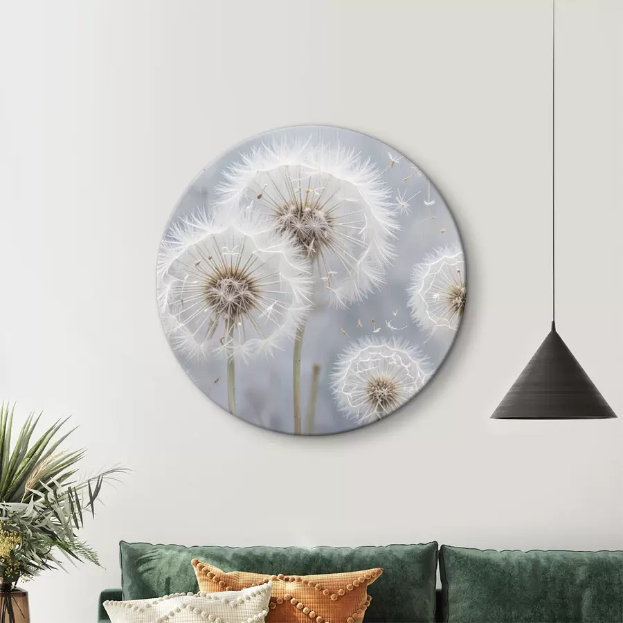 Pilt Valged võililleõied koos kohevate seemnetega hägusel hallil taustal r40556