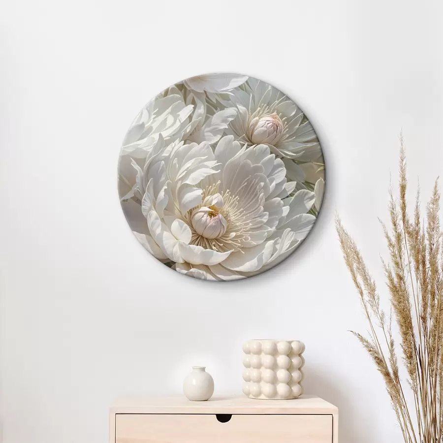 Pilt Lähivaade mitmest suurest, valgest pioonilillest, millel on pehmed, õrnad kroonlehed ja helekollane keskosa r40575