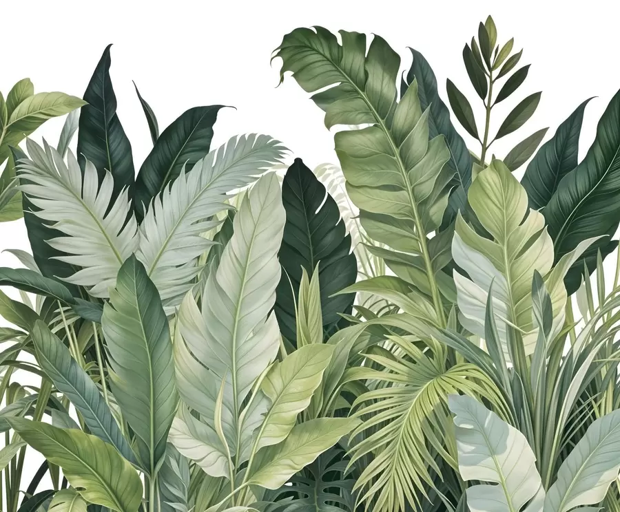 Fototapeedid Troopilised lehed erinevate suurte roheliste lehtedega, sealhulgas banaanilehed, palmilehed ja muud eksootilised taimeliigid w08609