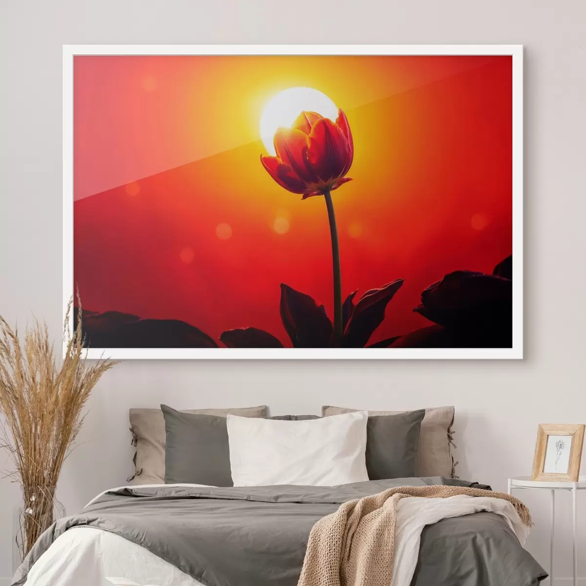 Plakat Tulip on funfet backgfound f42922