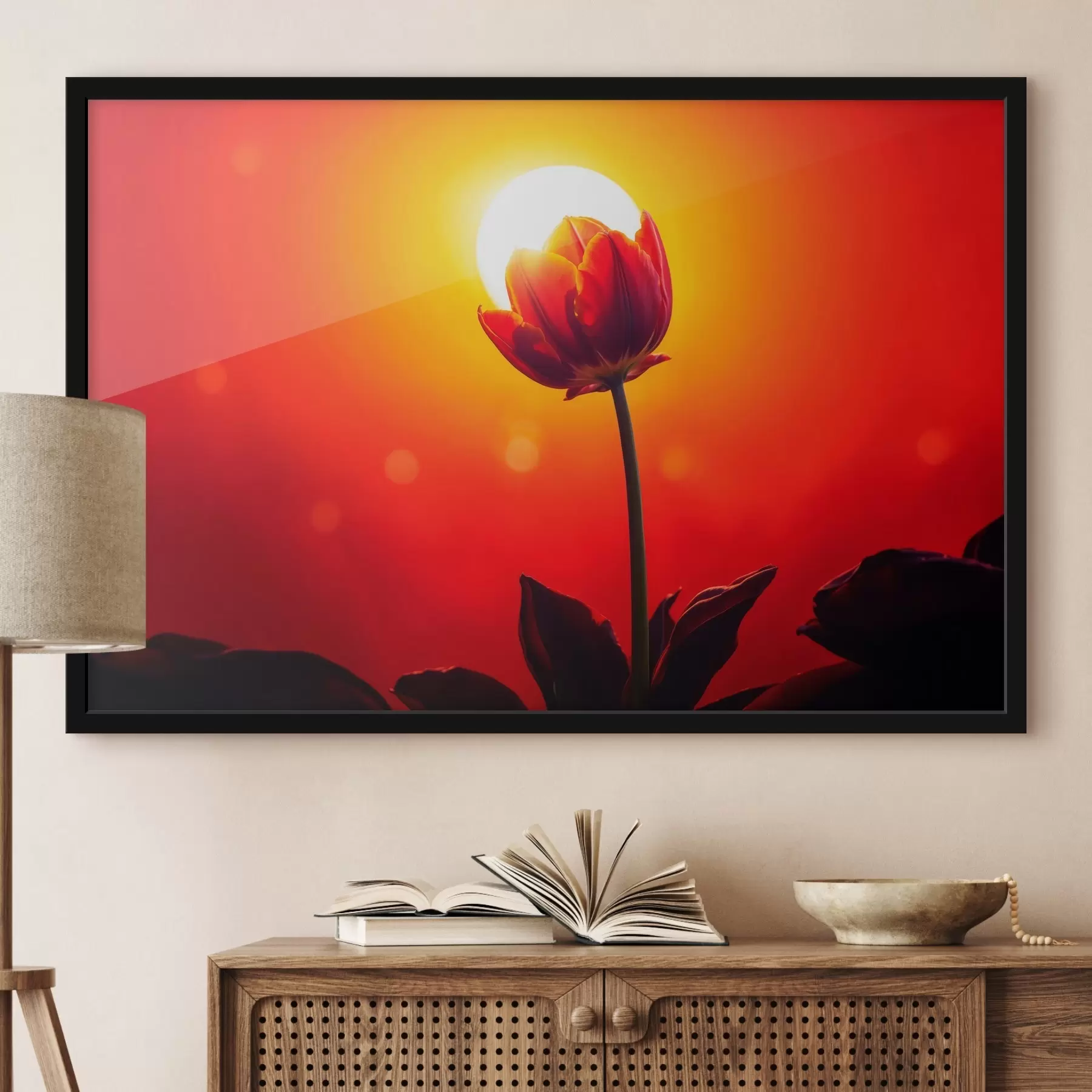 Pilt Tulip on funfet backgfound f42922