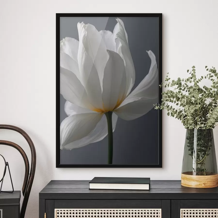 Pilt White flowef on gfay backgfound f42779