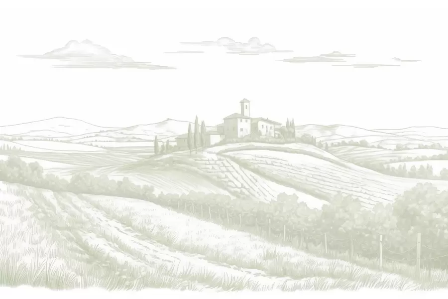 Fototapeedid Toscana maastikud, Itaalia, viinamarjaistandused, loodus, vana loss, rohelised värvid w03349v2