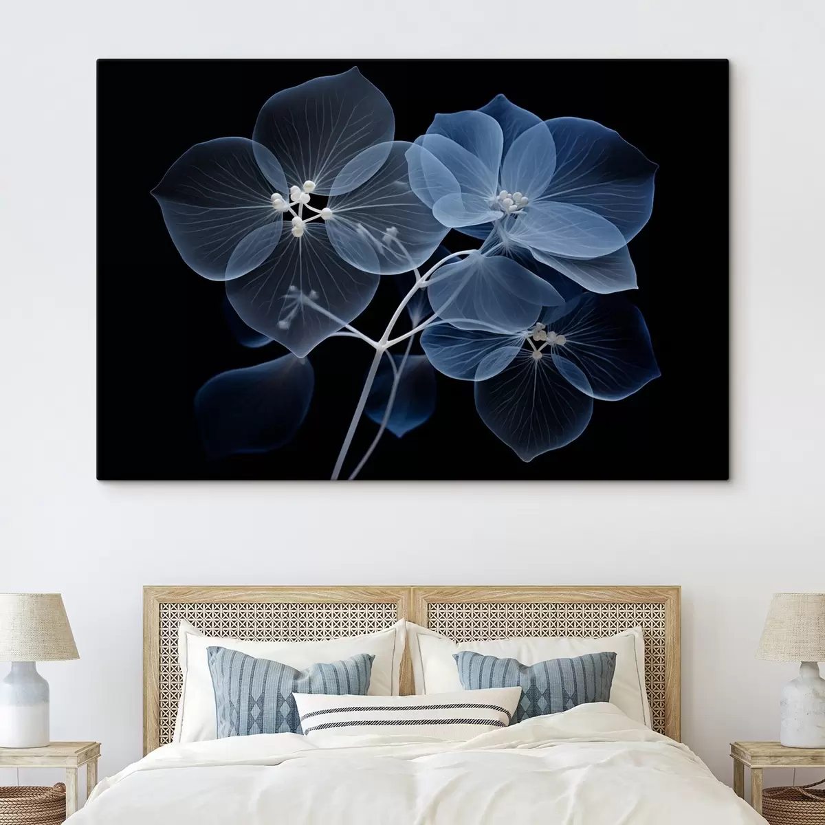 Pilt Läbipaistev sinine hortensialill siniste õite ja õrna varrega mustal taustal s43395