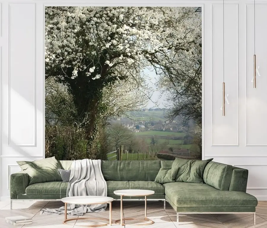 Fototapeedid Külatee, õitsev puu u55071