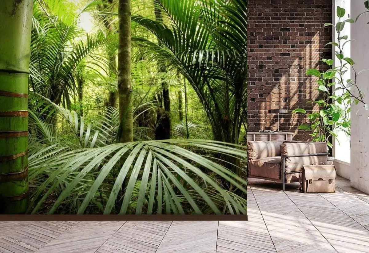 Fototapeedid Lopsakas rohelus tihedas metsas u56916