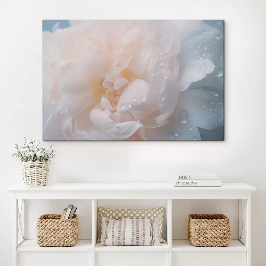 Pilt Valge lill koos kaste s43953