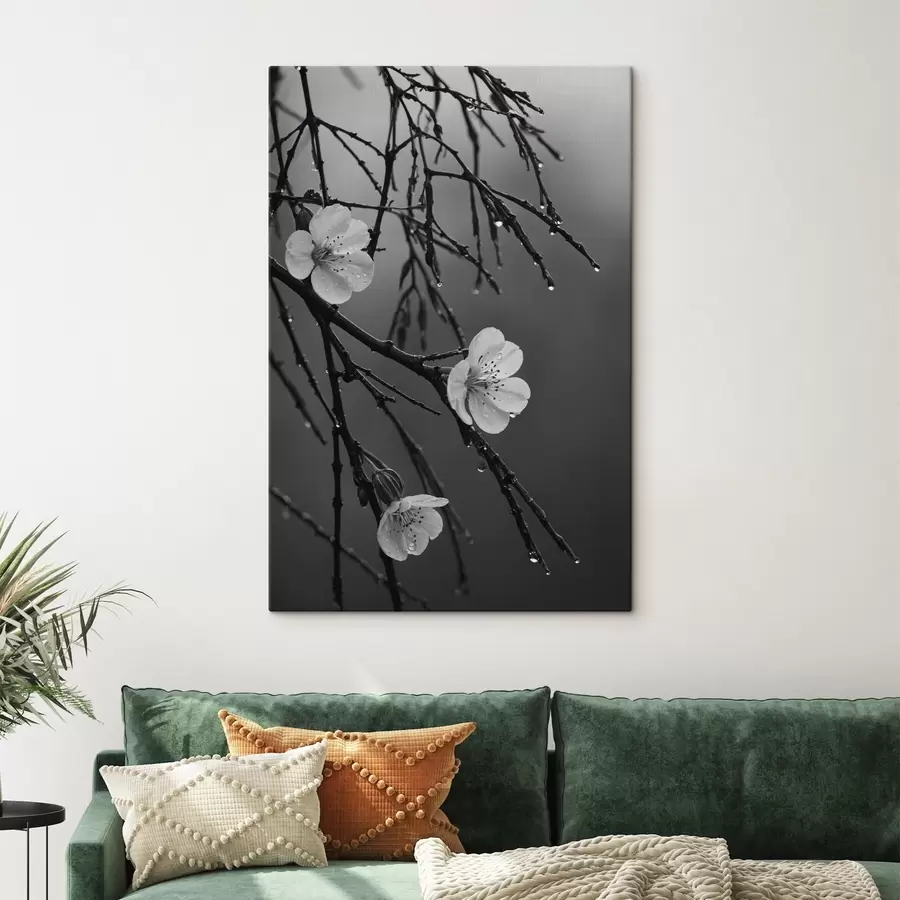 Fototapeedid Lilled okstel pärast vihma s44098