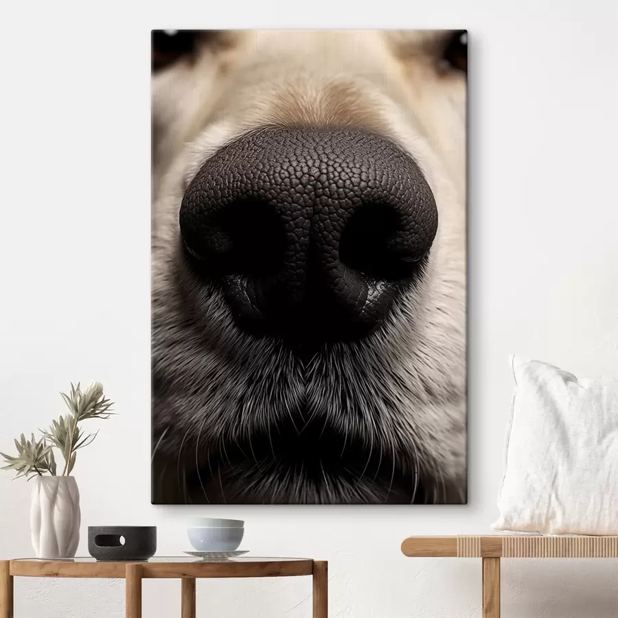 Pilt Koera nina s44273