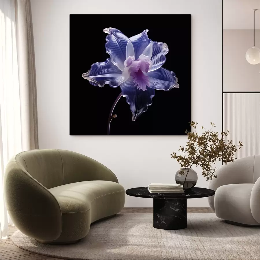 Pilt Läbipaistvad kroonlehed koos soontega mustal taustal s44347