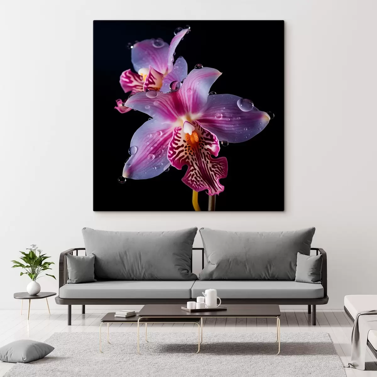 Pilt Veepiisad orhidee kroonlehtedel s44356